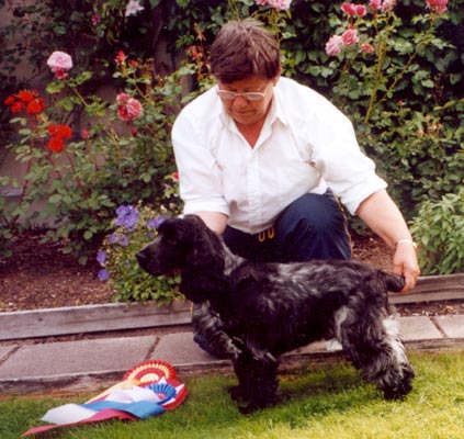 simon_bis_valp